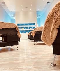 Lash Tinting Edmonton